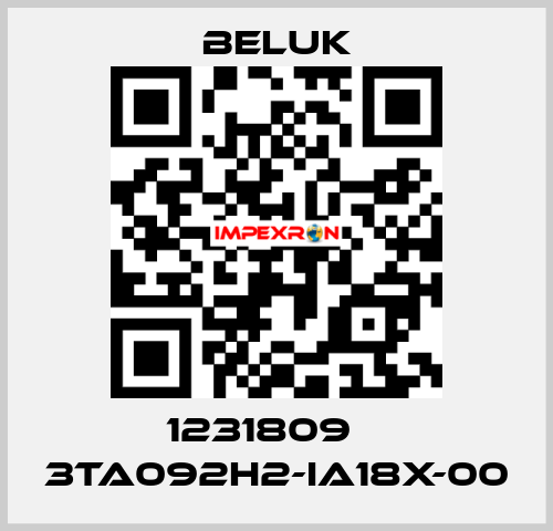 1231809    3TA092H2-IA18X-00 Beluk