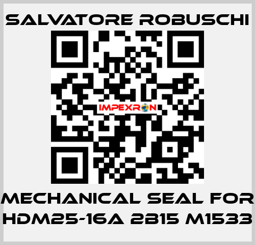 mechanical seal for HDM25-16A 2B15 M1533 SALVATORE ROBUSCHI