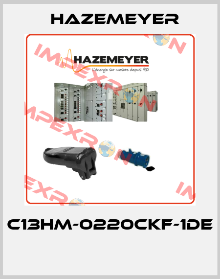 C13HM-0220CKF-1DE  Hazemeyer