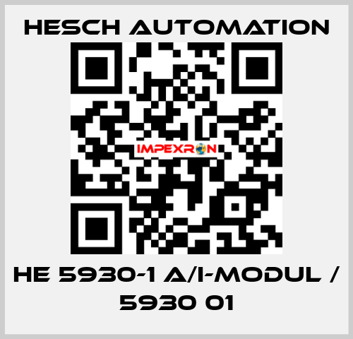 HE 5930-1 A/I-Modul / 5930 01 Hesch Automation