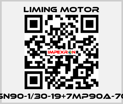 LM-SN90-1/30-19+7MP90A-70-A2 Liming Motor