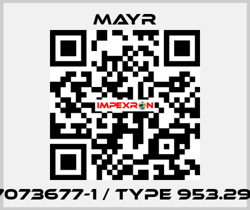 7073677-1 / Type 953.291 Mayr