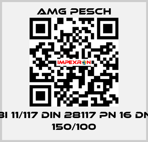 BI 11/117 DIN 28117 PN 16 DN 150/100 AMG Pesch