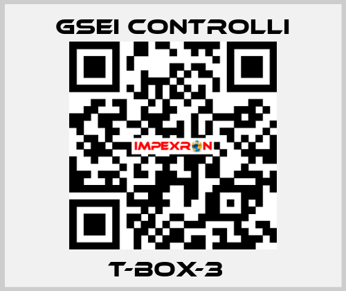 T-BOX-3Т GSEI Controlli