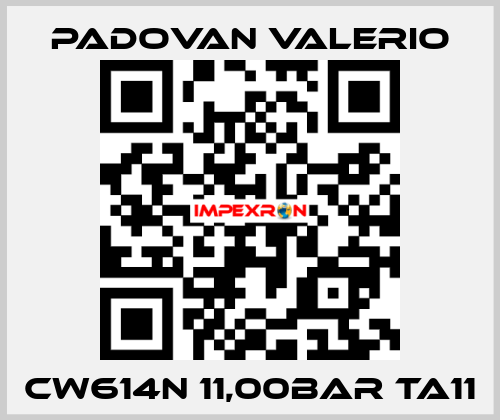 CW614N 11,00BAR TA11 PADOVAN VALERIO