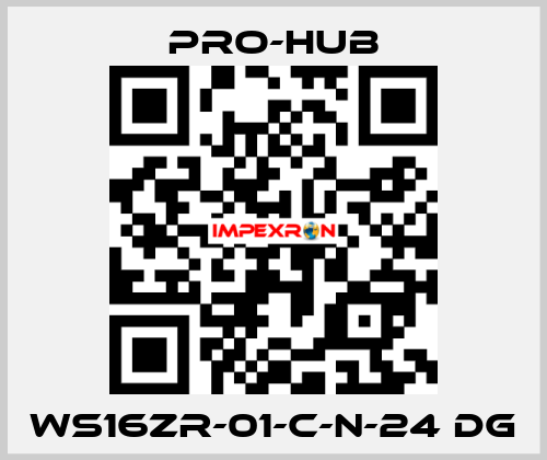 WS16ZR-01-C-N-24 DG Pro-Hub