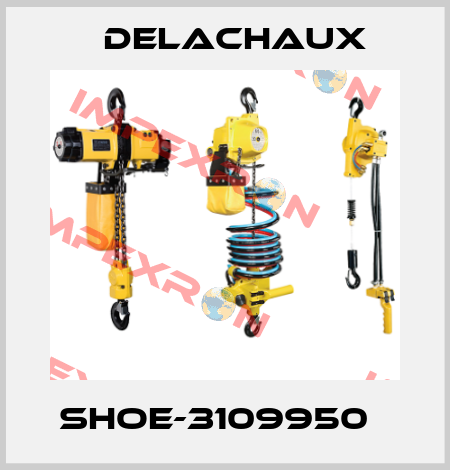 SHOE-3109950   Delachaux