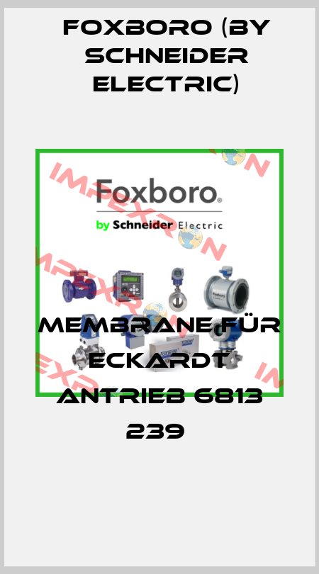 Membrane für Eckardt Antrieb 6813 239  Foxboro (by Schneider Electric)