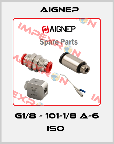  G1/8 - 101-1/8 A-6 ISO  Aignep