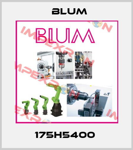 175H5400  Blum