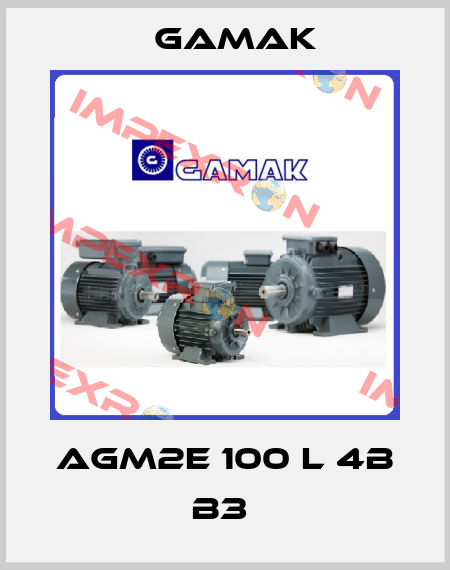 AGM2E 100 L 4B B3  Gamak