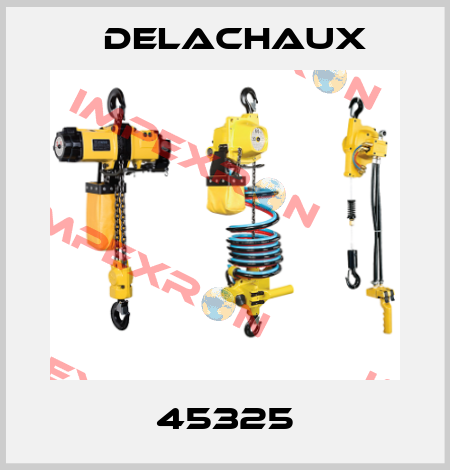 45325 Delachaux