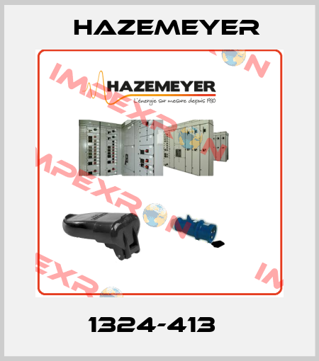 1324-413   Hazemeyer