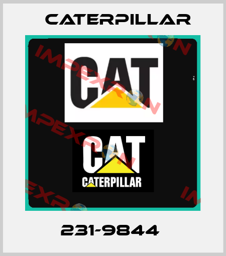 231-9844  Caterpillar