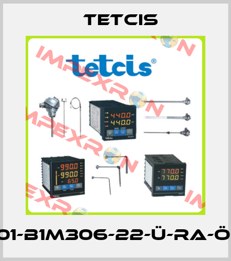 TR01-B1M306-22-Ü-RA-Ö-TK Tetcis