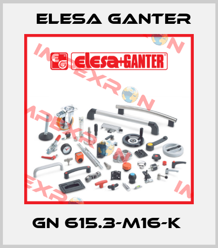 GN 615.3-M16-K  Elesa Ganter