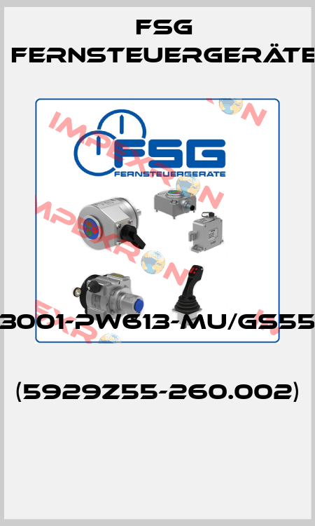 SL3001-PW613-MU/GS55/01   (5929Z55-260.002)  FSG Fernsteuergeräte