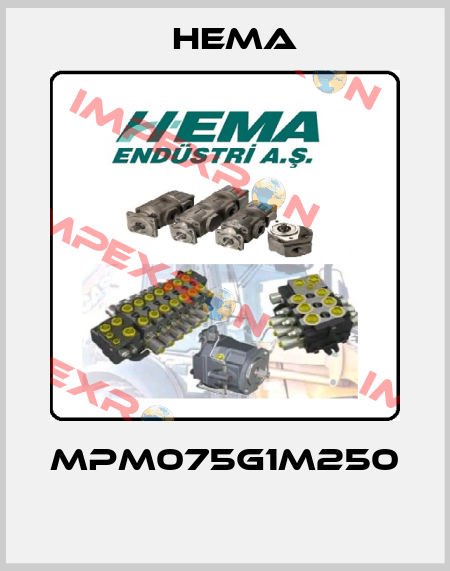 MPM075G1M250  Hema