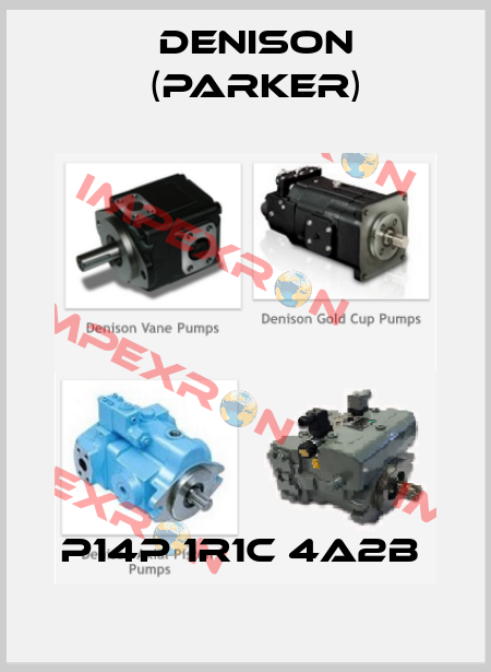 P14P 1R1C 4A2B  Denison (Parker)