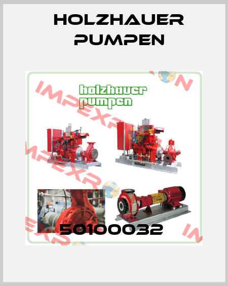 50100032  Holzhauer Pumpen