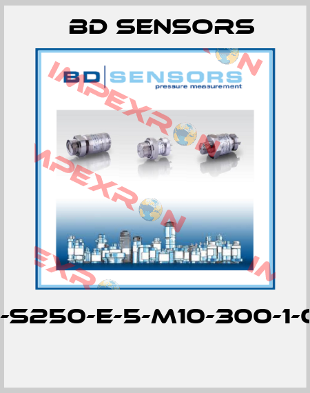100-S250-E-5-M10-300-1-000  Bd Sensors