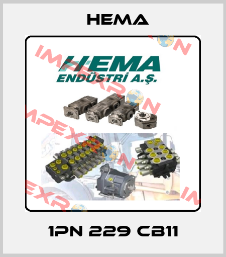 1PN 229 CB11 Hema
