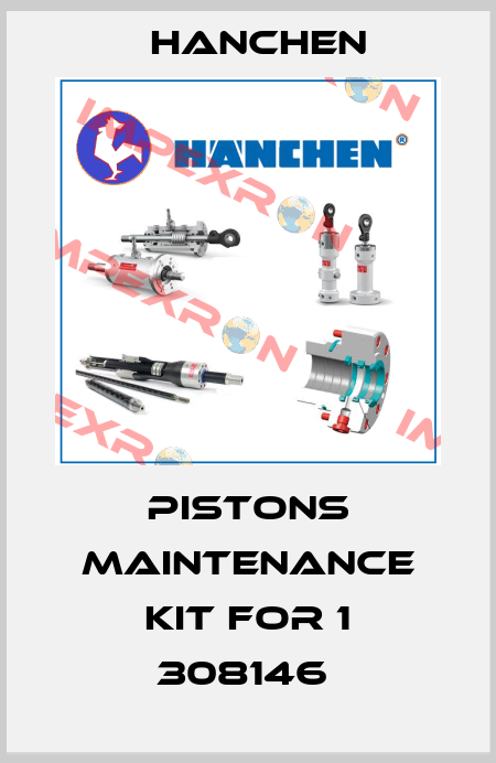 Pistons Maintenance Kit for 1 308146  Hanchen