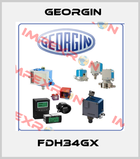FDH34GX  Georgin