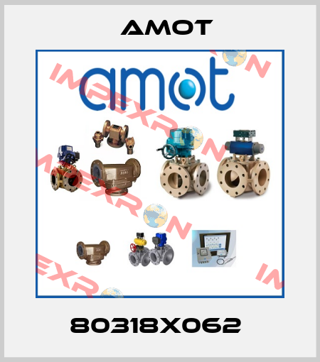 80318X062  Amot