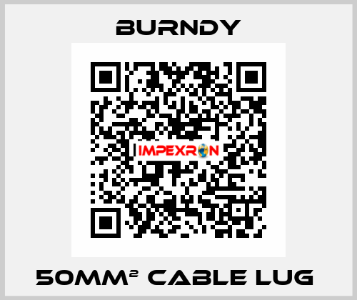50mm² cable lug  Burndy