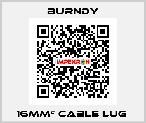 16mm² cable lug  Burndy