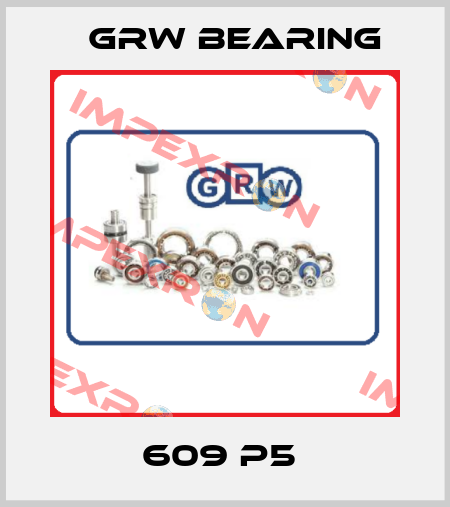 609 P5  GRW Bearing