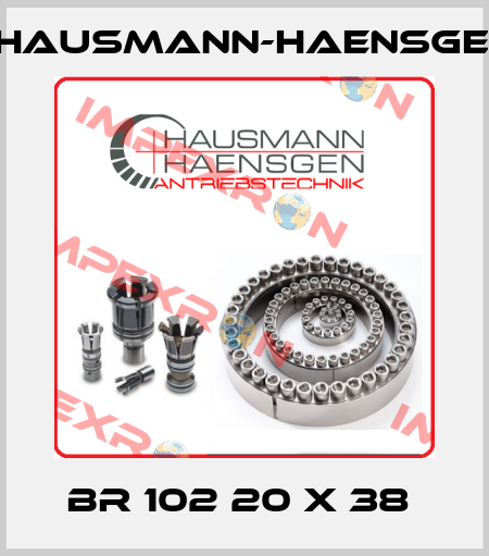 BR 102 20 X 38  Hausmann-Haensgen