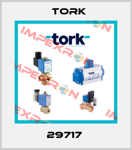 29717  Tork
