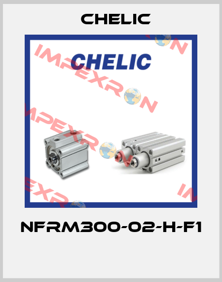 NFRM300-02-H-F1  Chelic