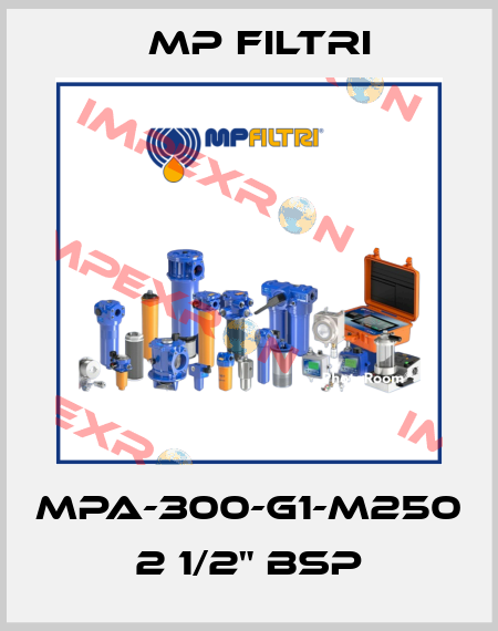 MPA-300-G1-M250   2 1/2" BSP MP Filtri