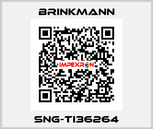 SNG-TI36264 Brinkmann