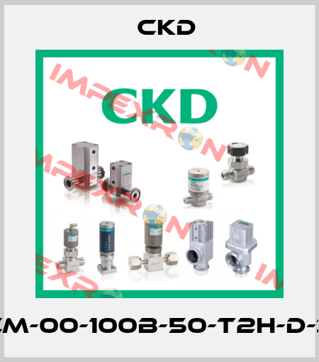 SCM-00-100B-50-T2H-D-ZY Ckd