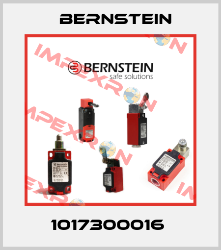 1017300016  Bernstein