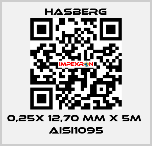 0,25X 12,70 MM X 5M  AISI1095 Hasberg