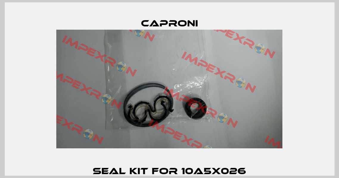 seal kit for 10A5X026 Caproni