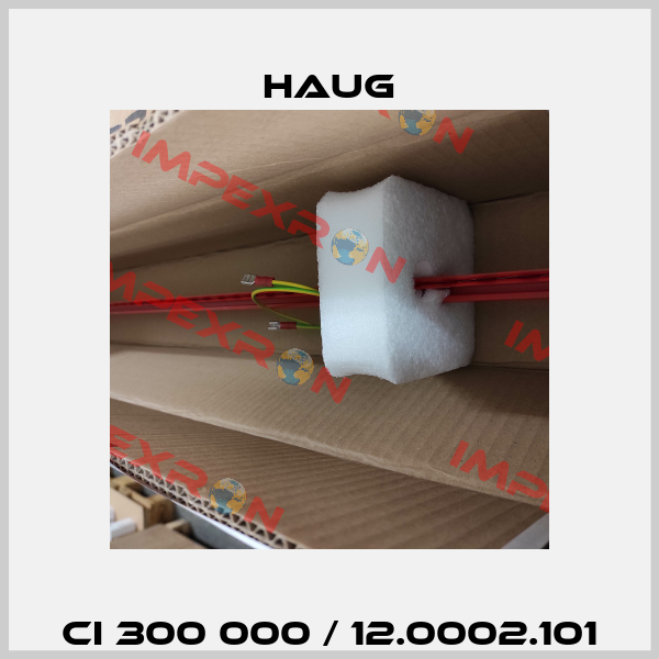 CI 300 000 / 12.0002.101 Haug