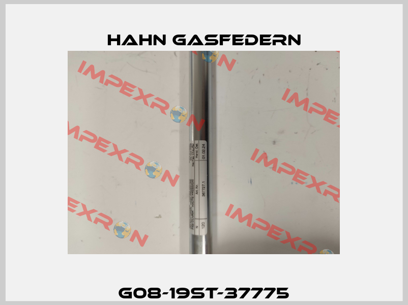 G08-19ST-37775 Hahn Gasfedern