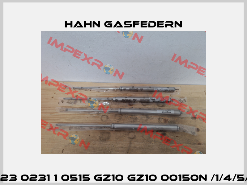 H-G10 23 0231 1 0515 GZ10 GZ10 00150N /1/4/5/Si/V4 Hahn Gasfedern