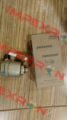 135300 Pakkens
