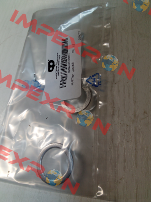 V0RAA23X00017 POMPE CUCCHI SRL