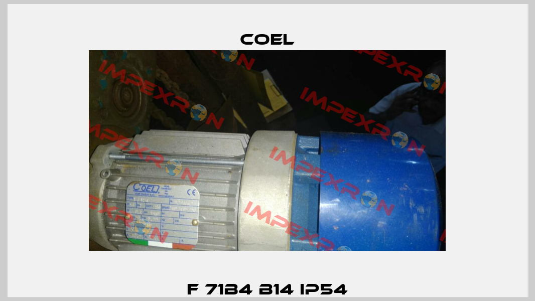 F 71B4 B14 IP54 Coel