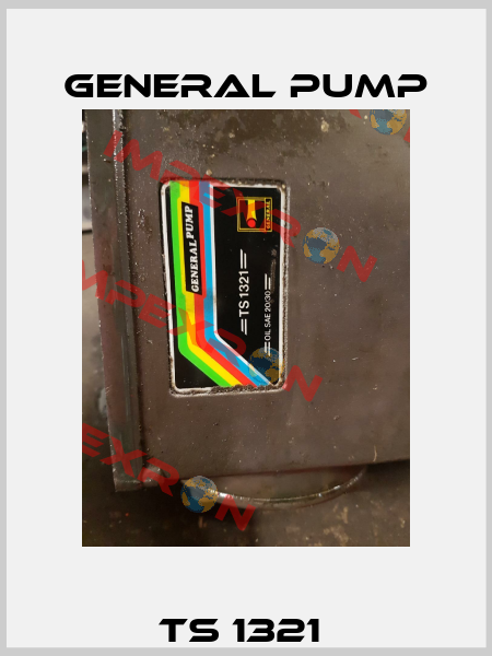 TS 1321  General Pump