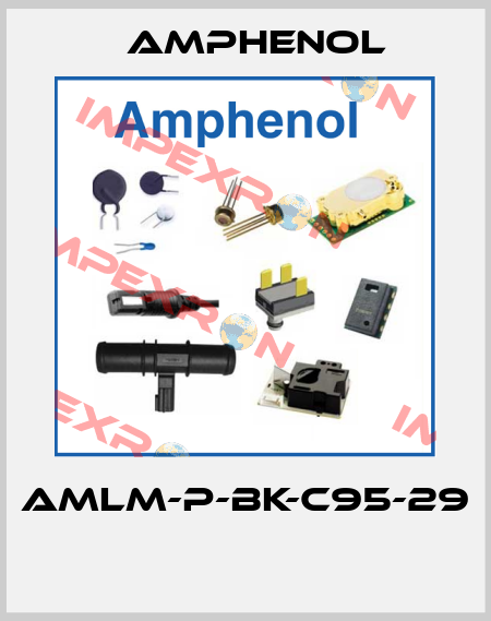 AMLM-P-BK-C95-29  Amphenol