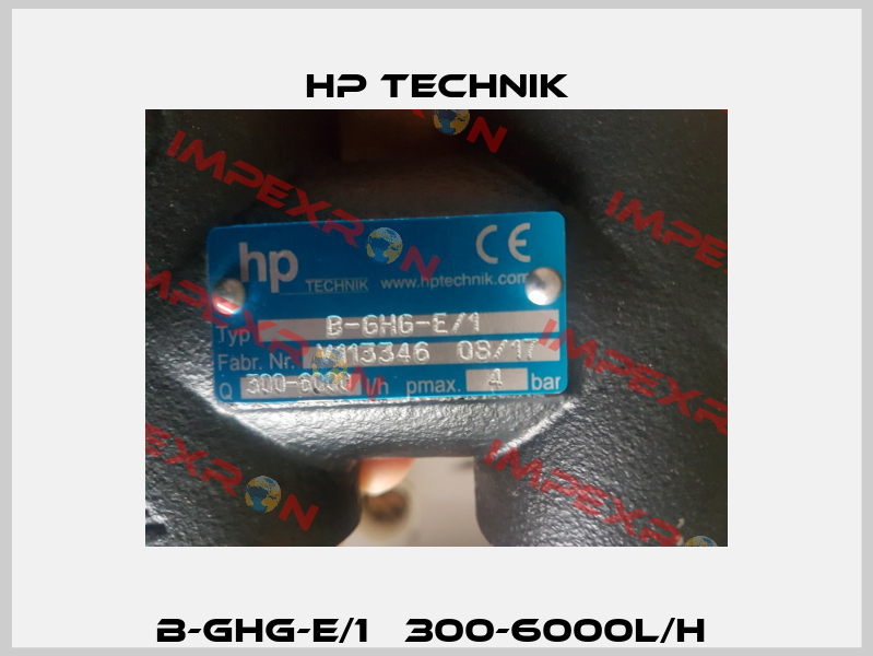 B-GHG-E/1   300-6000l/h  HP Technik